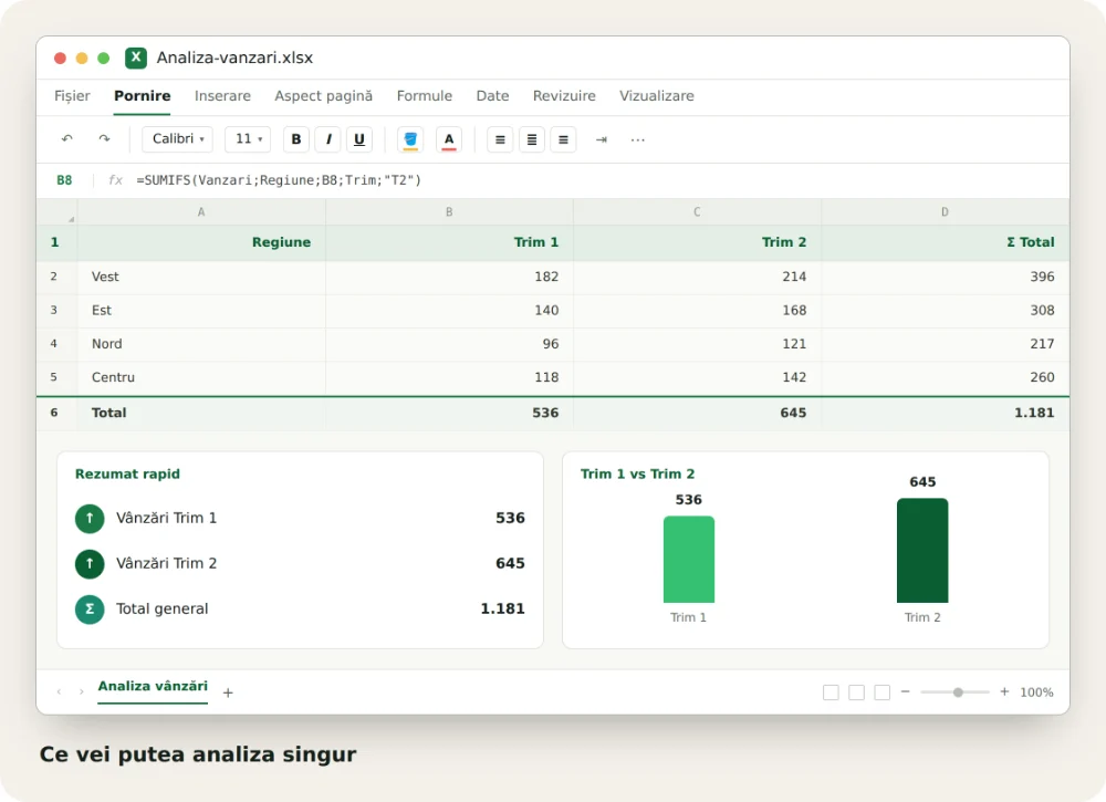 Exemplu de raport interactiv construit în Excel